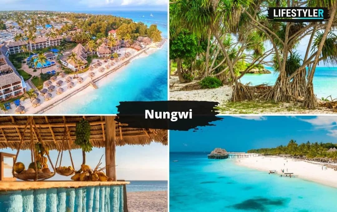 Zanzibar: Co zobaczyć? Najpiękniejsze plaże i atrakcje wyspy